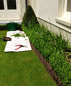Garden Maintenace