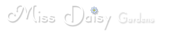 Miss Daisy Garden Services